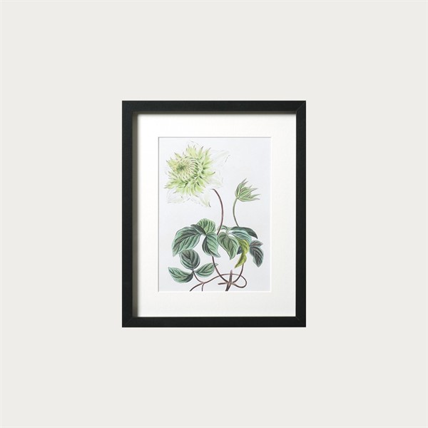 product photo 0