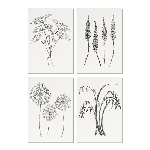Set of 4 Notecards
