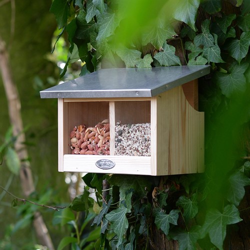 Double Squirrel Feeder