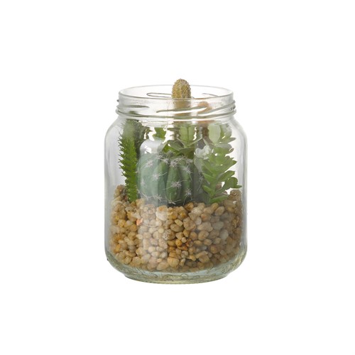 Succulent Mix In Glass Jar Green