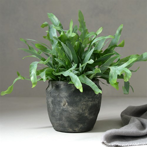 Athens Grooved Indoor Planter