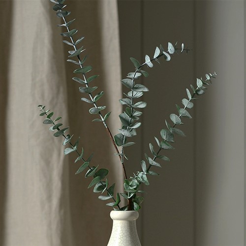 Eucalpytus Spray Dusky Grey