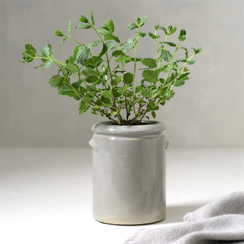 Small Ceramic Planter - Light Grey