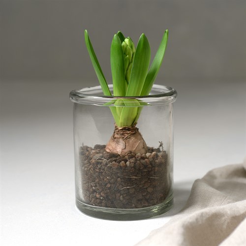 Glass Rimmed Vase