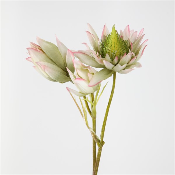 product photo 0
