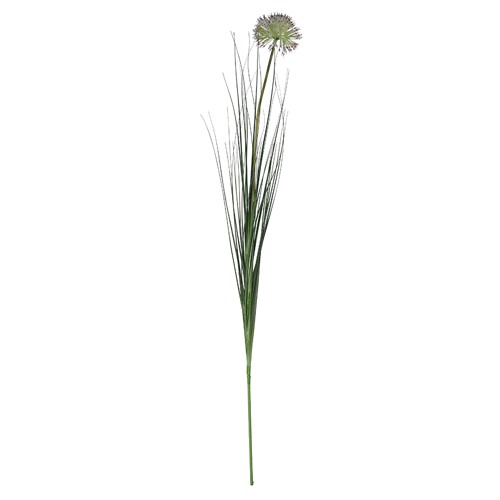Allium Grass Spray Damson