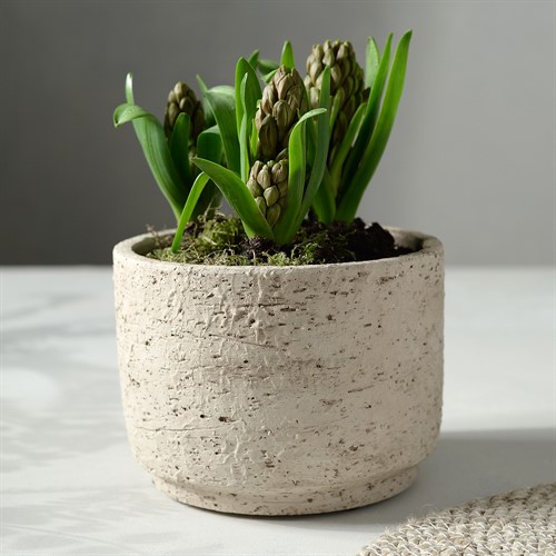 Flower Pot Rustic Sand Medium H13xW18cm
