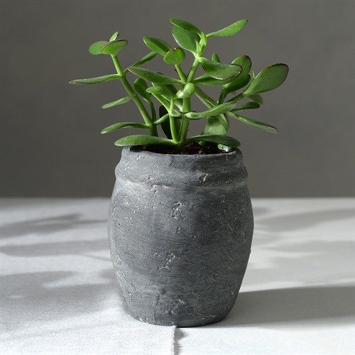 Windrush Cement Planter Grey