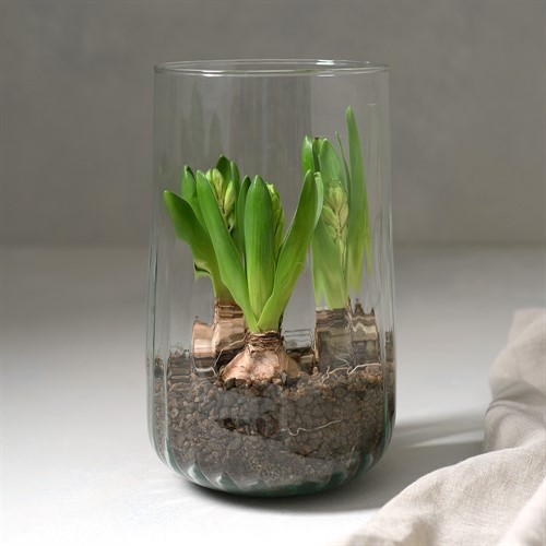 LSA Mia Vase/Lantern H25.5cm Recycled